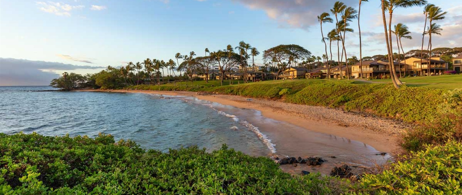 Image for Black Friday Wailea Collection